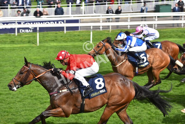 yr22052021r4-42 - Race 4 3.50pm WilliamHill.com Best Odds Guaranteed Stakes