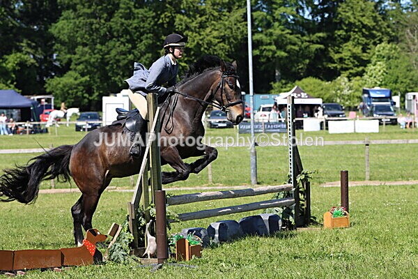 IMG_4025 - Working Hunter