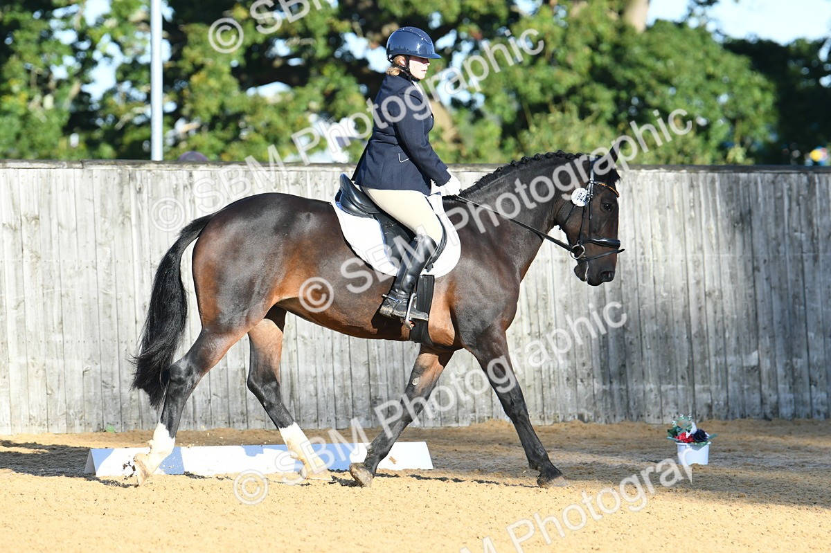 SBM_14373 - D4 - Small Tour Championship - Intro B