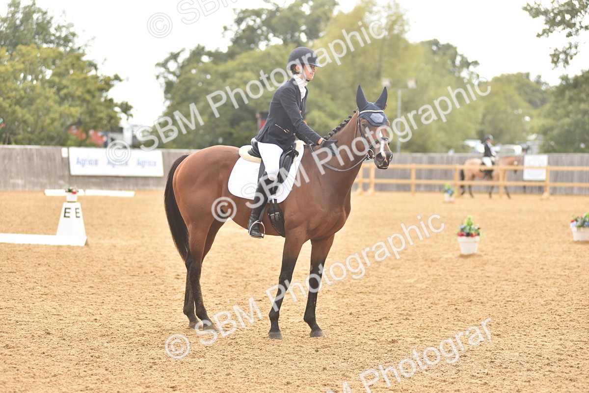 SBM_42370 - D22 - Junior Championship Intro 3