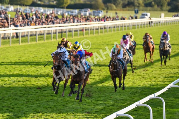 141023-Race 7-Star Ahoy-1652 - Race 7 4.45pm Coral 'Committed To Safer Gambling' Finale Handicap