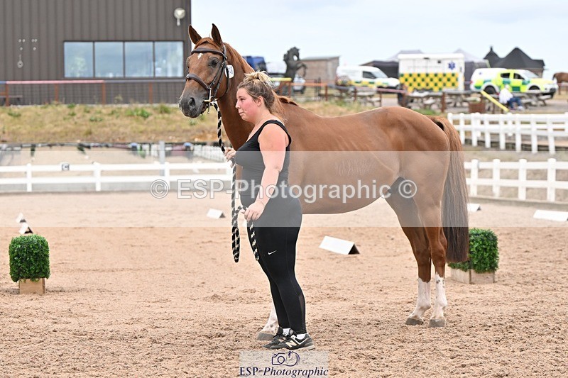 250716-160506-02401 - Trot Up 3.30 to 4.30