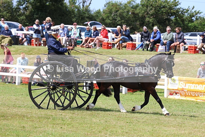 3E7A2693 - Class 12: Open Driving