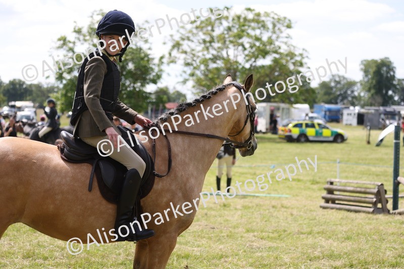 20260614-1805 - Class 21 - Novice Working Hunter Pony