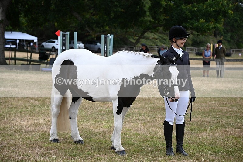 WJ6_4234 - Class 10 Coloured In-hand