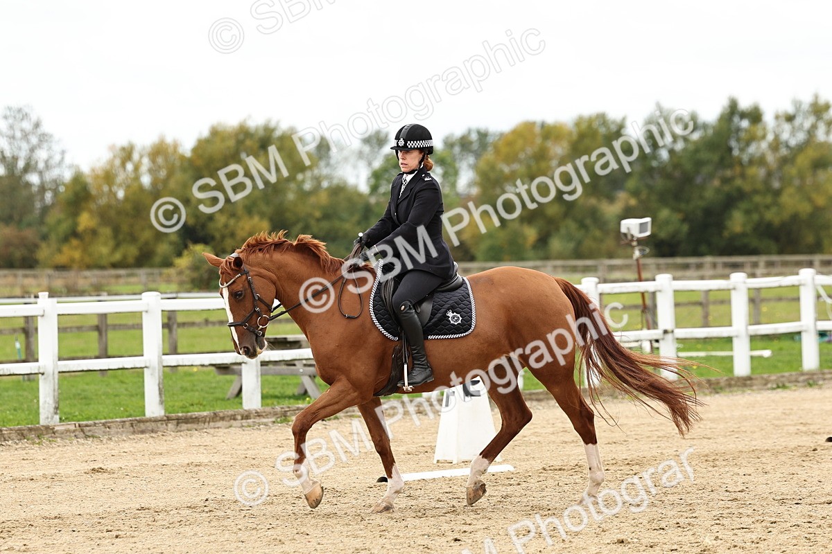 SBM_004557 - Class 69 - Novice 2