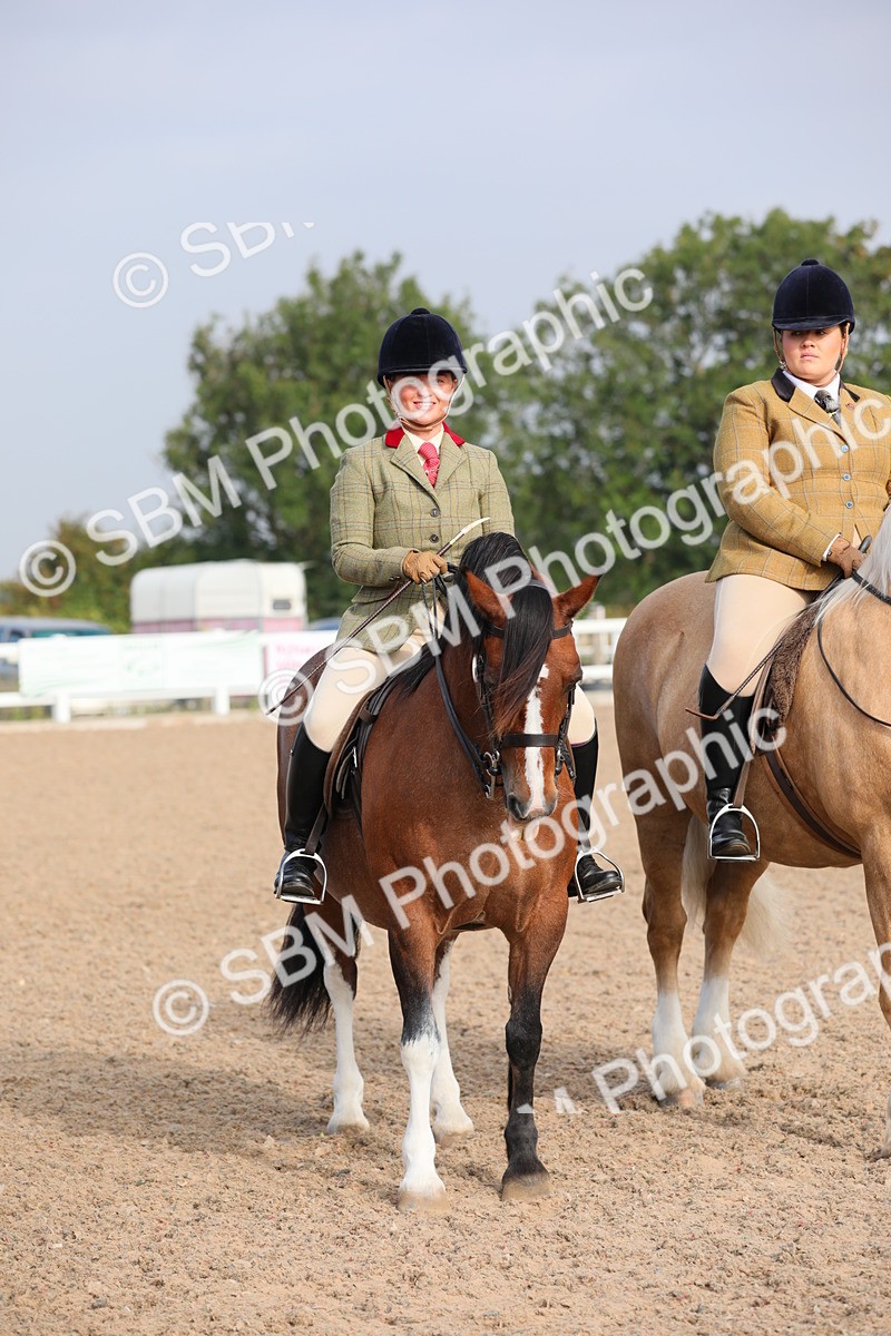 SBM_10146 - Class 302 Ridden M&M -Large Breeds