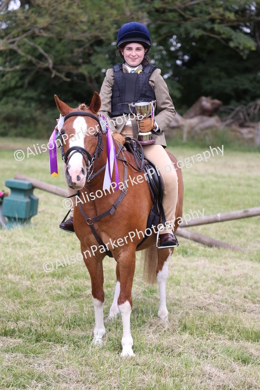 20260614-2172 - Class 21 - Novice Working Hunter Pony