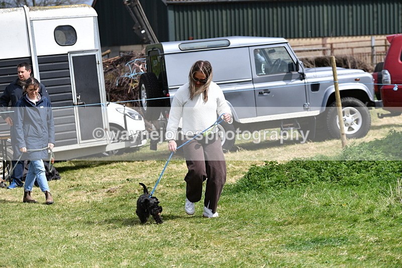 WJ5_0407 - Class 7 Best Terrier