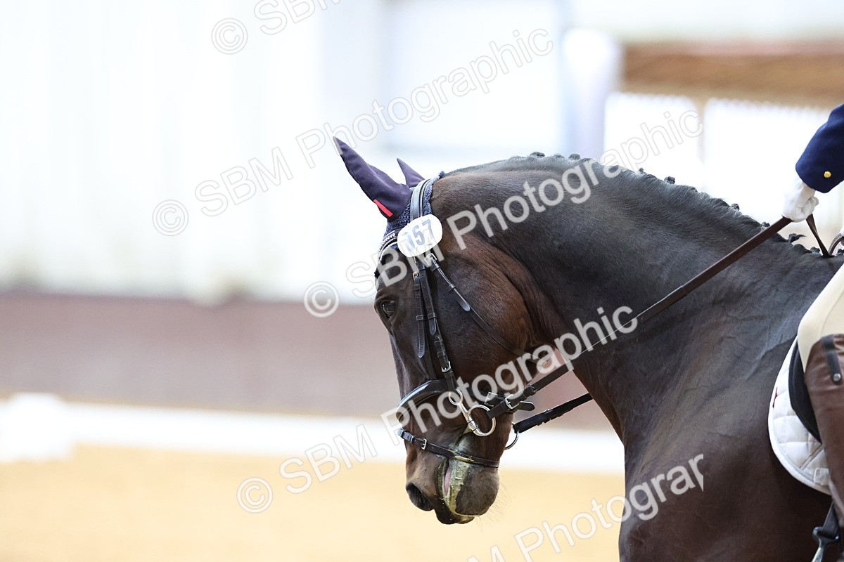 SBM_001098 - Novice 2