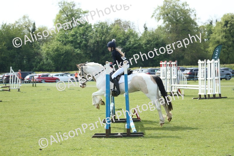 20260426-1646 - Class 14 - Novice 60cm
