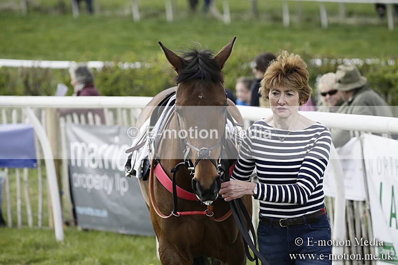 PtP 170417 399 - Old Berks Point-to-Point Lockinge 17/04/17