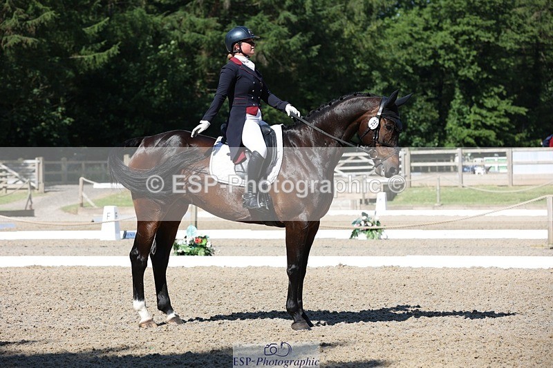 230526-094506-05158 - 357-VIVENDI_HERO-Saffron_Cresswell-WEDTrotUp+DR