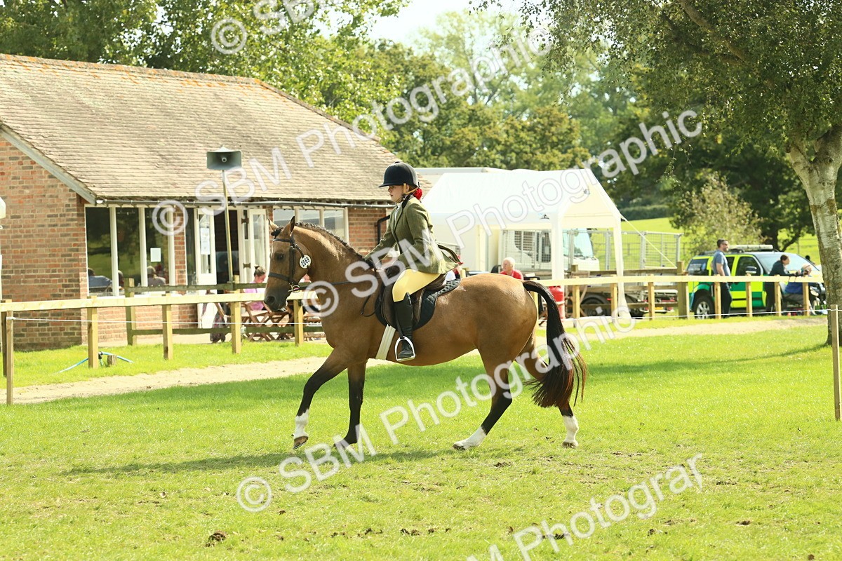 SBM_68870 - S58 - Mini Show Cob Ridden