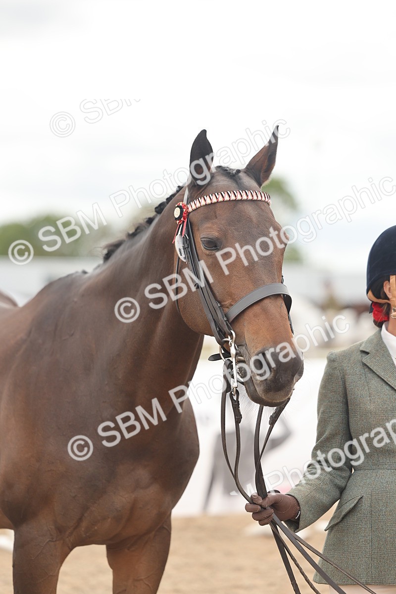 SBM_17090 - Class 313 - IH Retired Racehorse