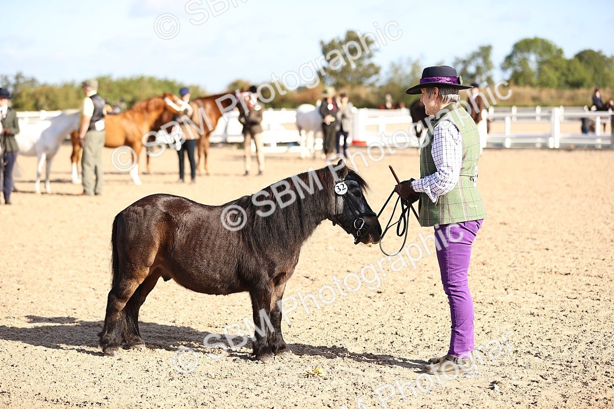 SBM_08510 - Class 402 - IH Veteran Pony