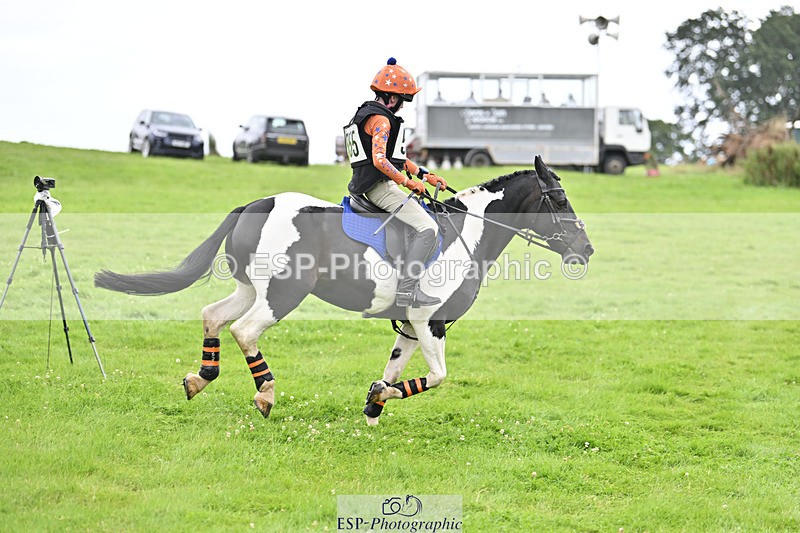 240804-144436-15453 - 555-Jack_Wish-WESTERLAKE_BUTTONWEED