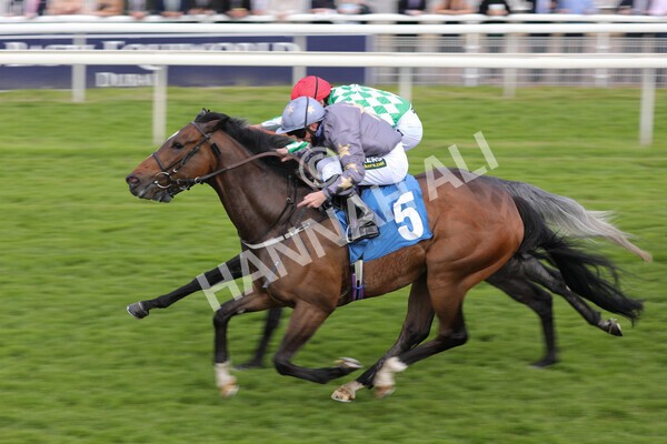 yr11062021r6-24 - Race 6 4.35pm Irish Thoroughbred Marketing Stakes