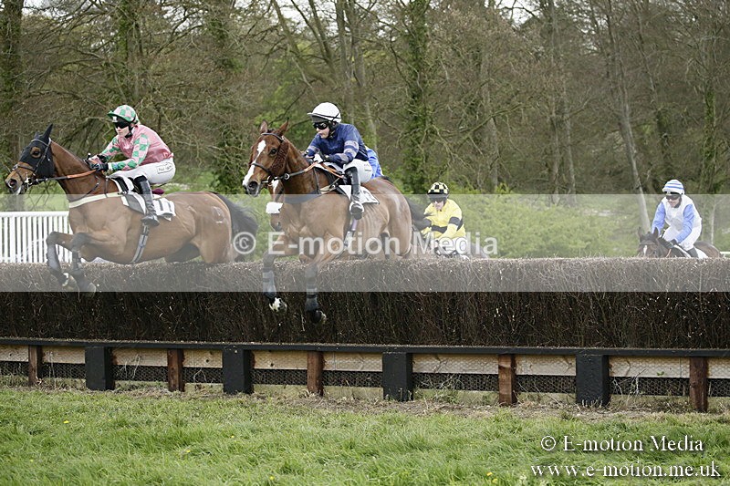 PtP 170417 512 - Old Berks Point-to-Point Lockinge 17/04/17