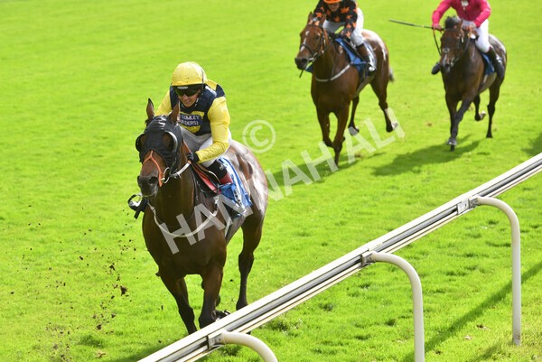 yr24092021r1-141 - Race 1 1.10pm Ernest Cooper Macmillan Ride of Their Lives