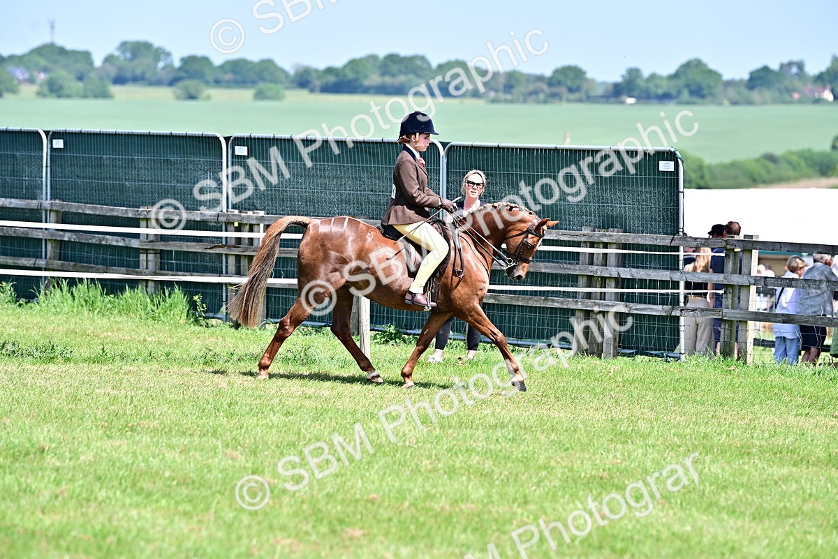 SBM_13962 - Class 95-97 - BSPS LHS Performance Ponies