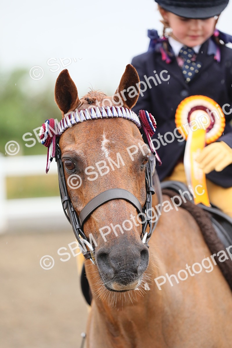 SBM_20640 - Class 804 - Ridden Veteran Pony