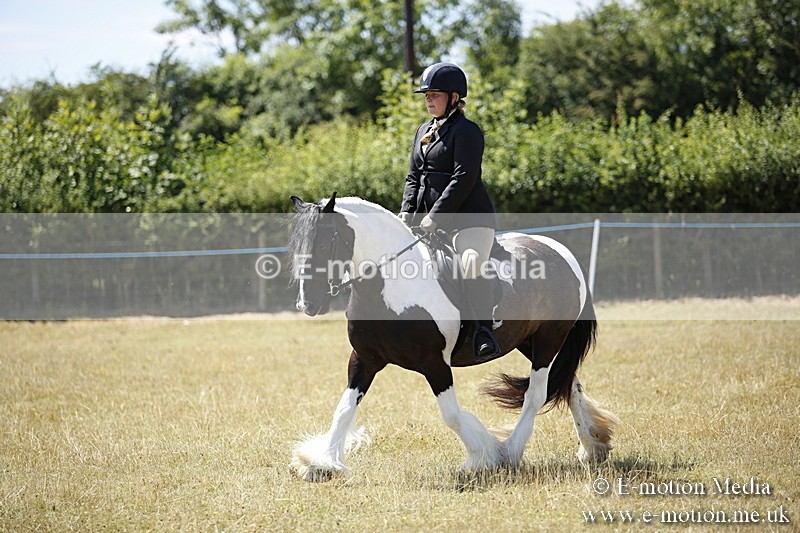 _C7A9889 - BVRC Show 2018 Ring 1