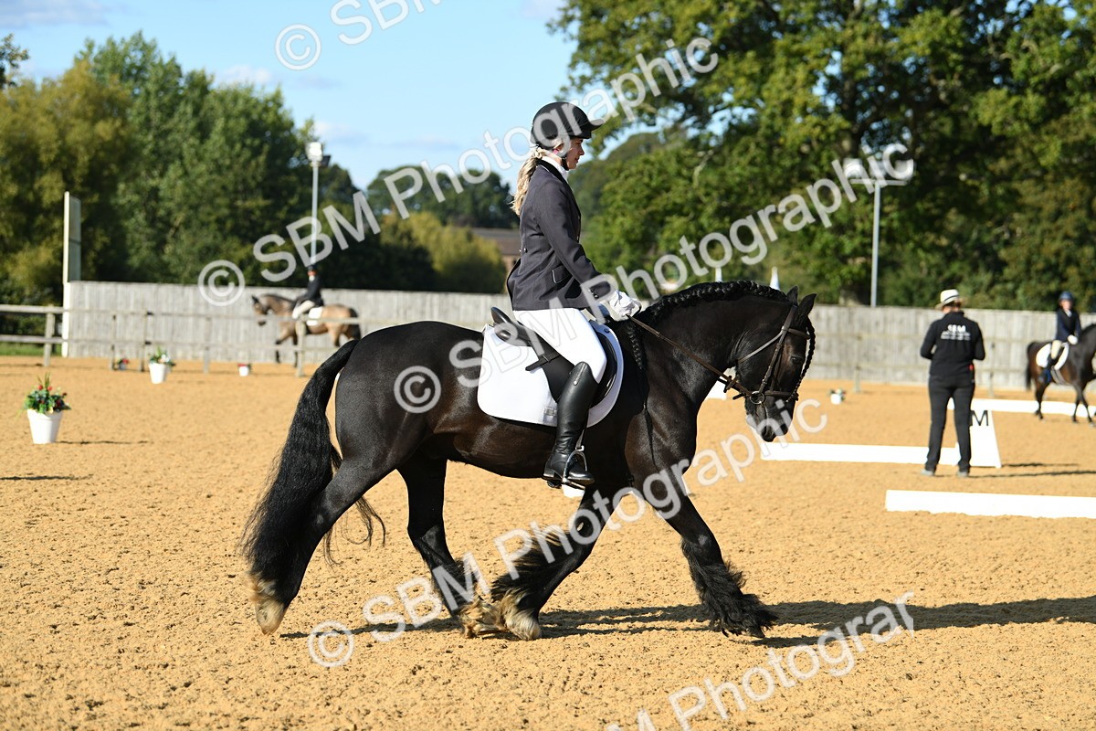 SBM_28443 - D16 - Small Tour Championship - Novice 28