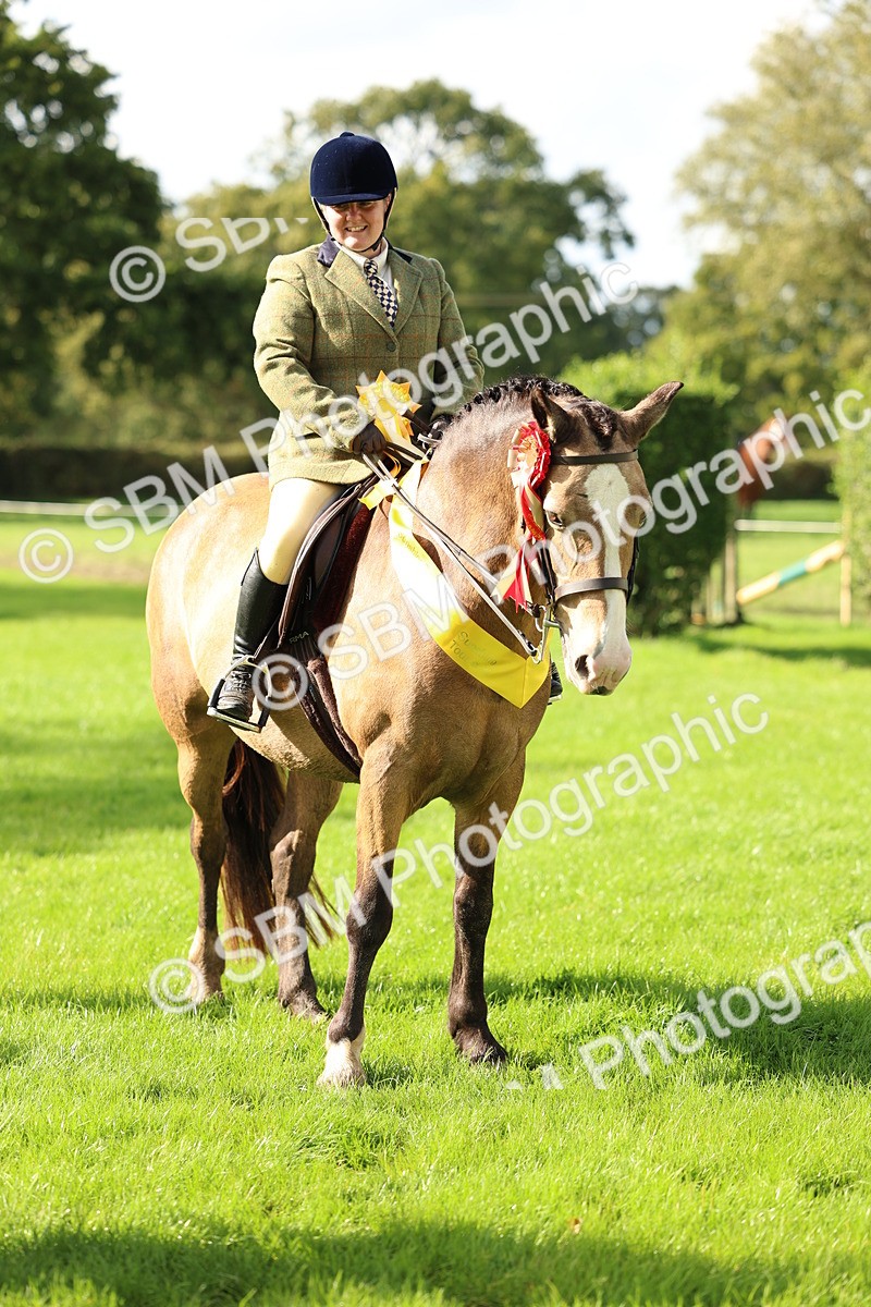 SBM_46427 - Working Hunter Pony Supreme Championship