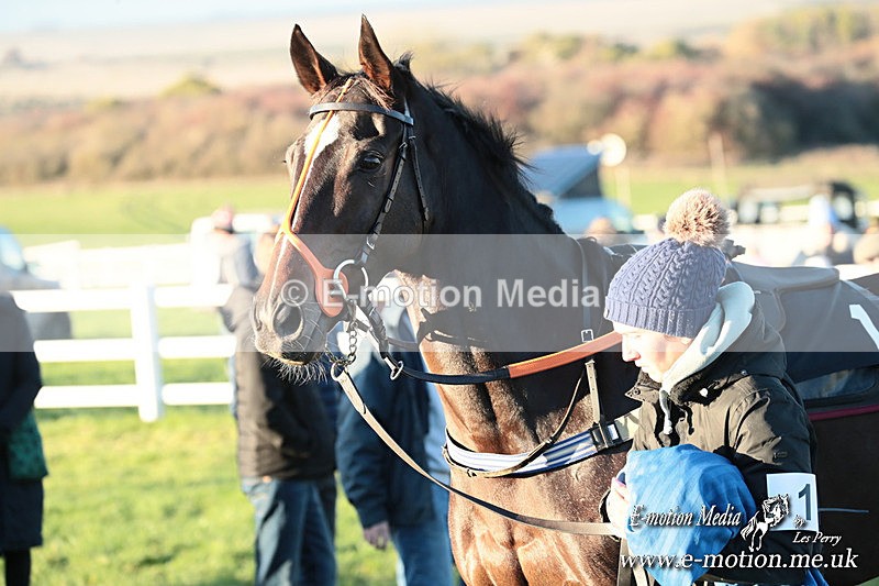 PtP 301125  0858 - Hursley Hambledon Point-to-Point Larkhill Racecourse 30/11/2025