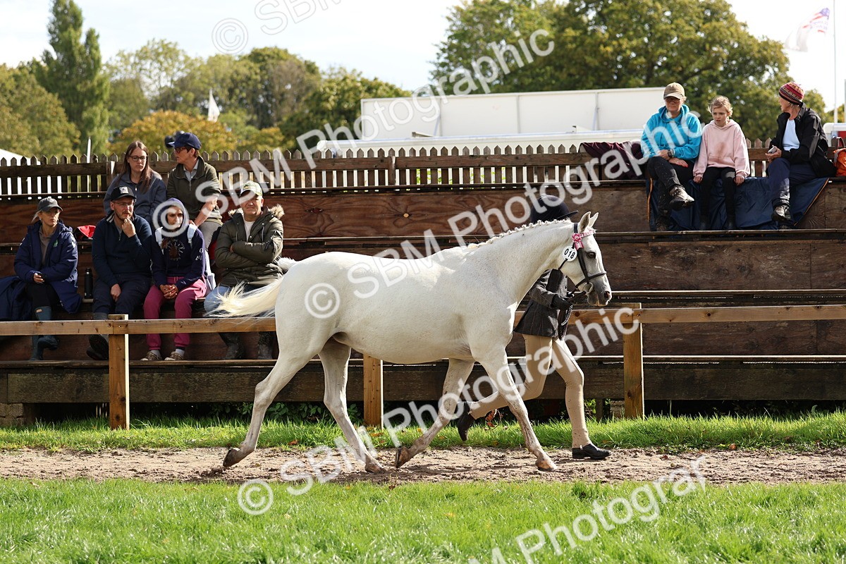 SBM_39425 - S24 - Young Veteran In Hand