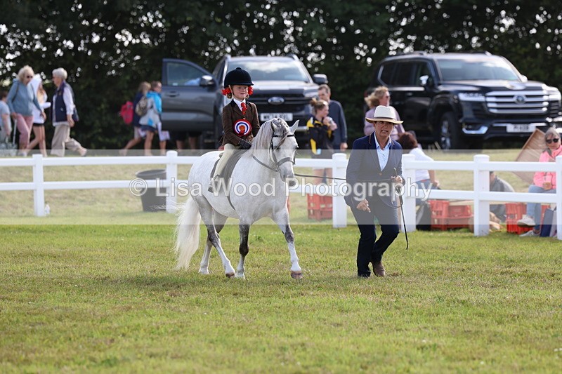 3E7A3938 - Supreme Championship