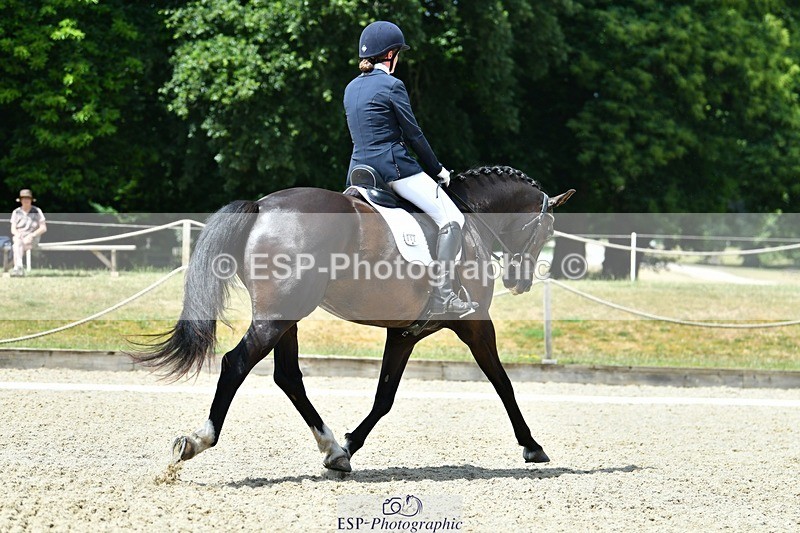 230623-121413-02187 - Cls 4 Novice 37Q Start to 12.35 break