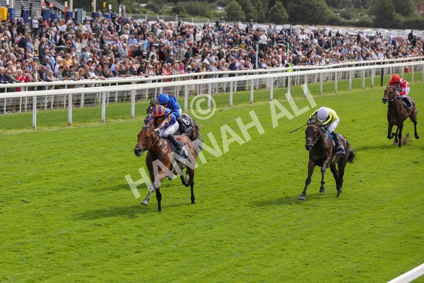 210824-Race 2-The Lion In Winter-7211 - Race 2 2.25pm Tattersalls Acomb Stakes