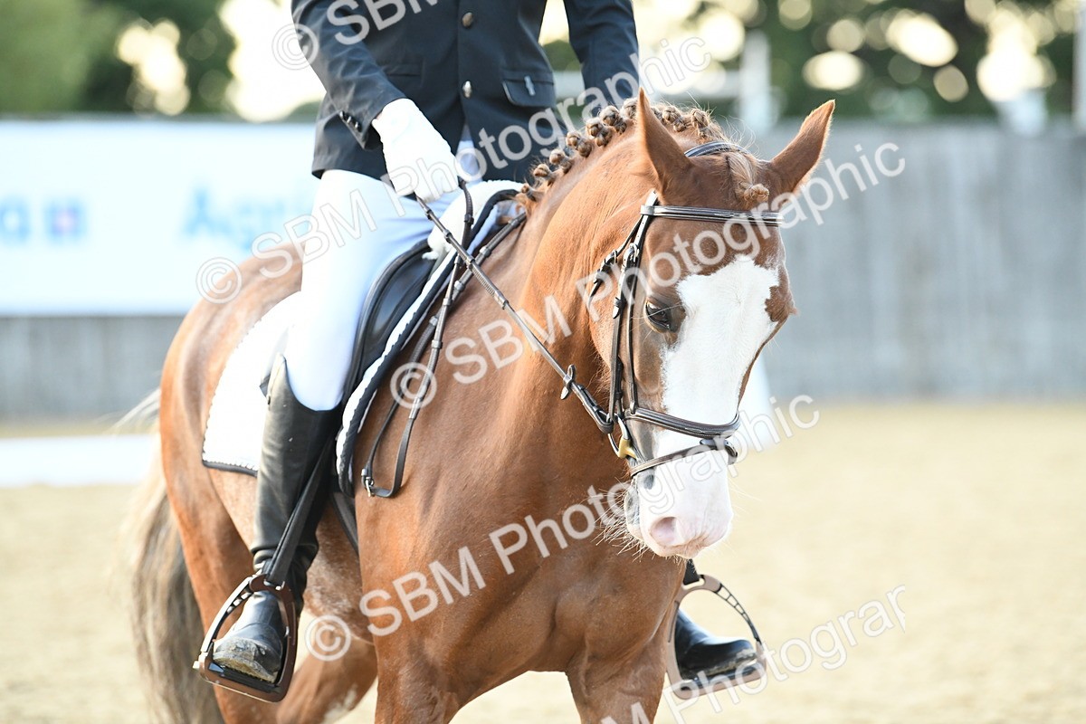SBM_30971 - D16 - Small Tour Championship - Novice 28