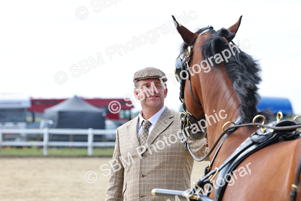SBM_000930 - Class 8 - Novice Horse or Pony to any vehicle
