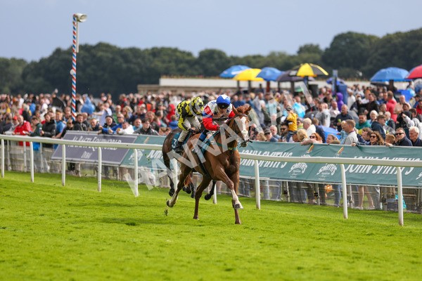 150723-Race 6-Robert Johnson-8876 - Race 6 4.55pm John Smith's Stayers' Handicap