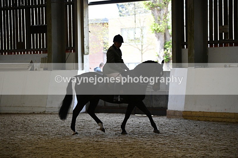 WJ5_6082 - Class 9 Ridden Veteran