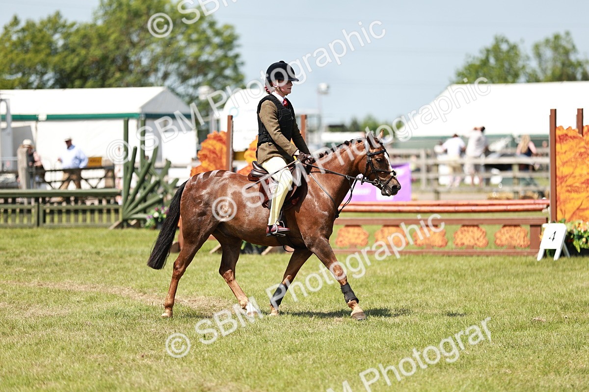 SBM_15580 - Class 108-109 - BSPS LIHS Open Gradle & Nursery Stakes