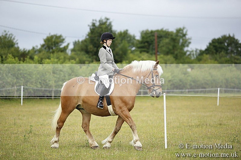 BVR160717-252 - Ring 1 BVRC Show 16/07/17