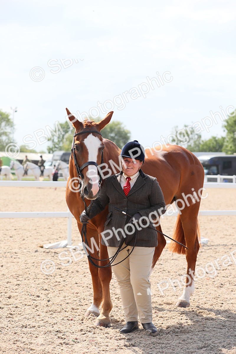 SBM_15784 - Class 312 IH Competition Horse/Pony