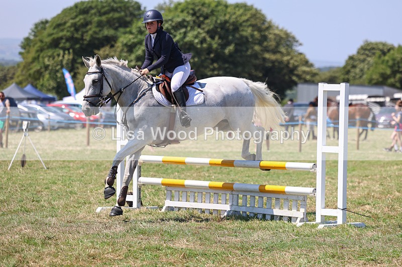 3E7A4386 - Class 10: Senior British Novice/90cm open