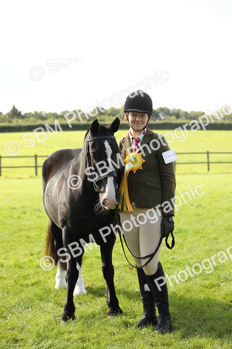 SBM_62361 - S45 - Mini Show Cob In Hand