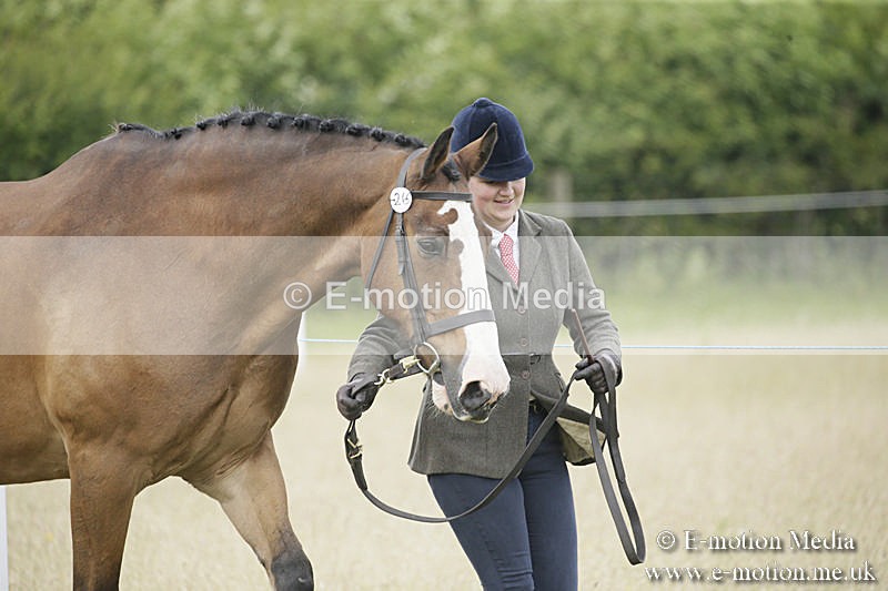 B230619-0479 - Bourne Valley Riding Club Summer Show 23/06/19