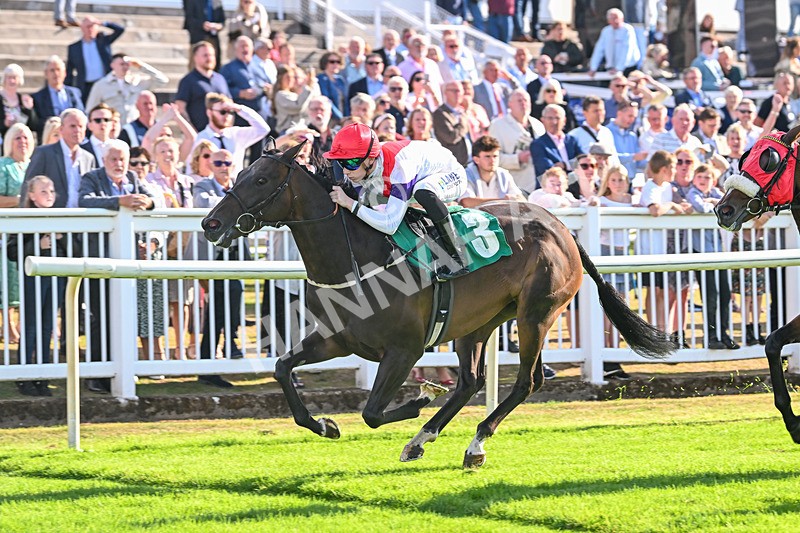 290825-Race 7-Crocus Time-9290 - Race 7