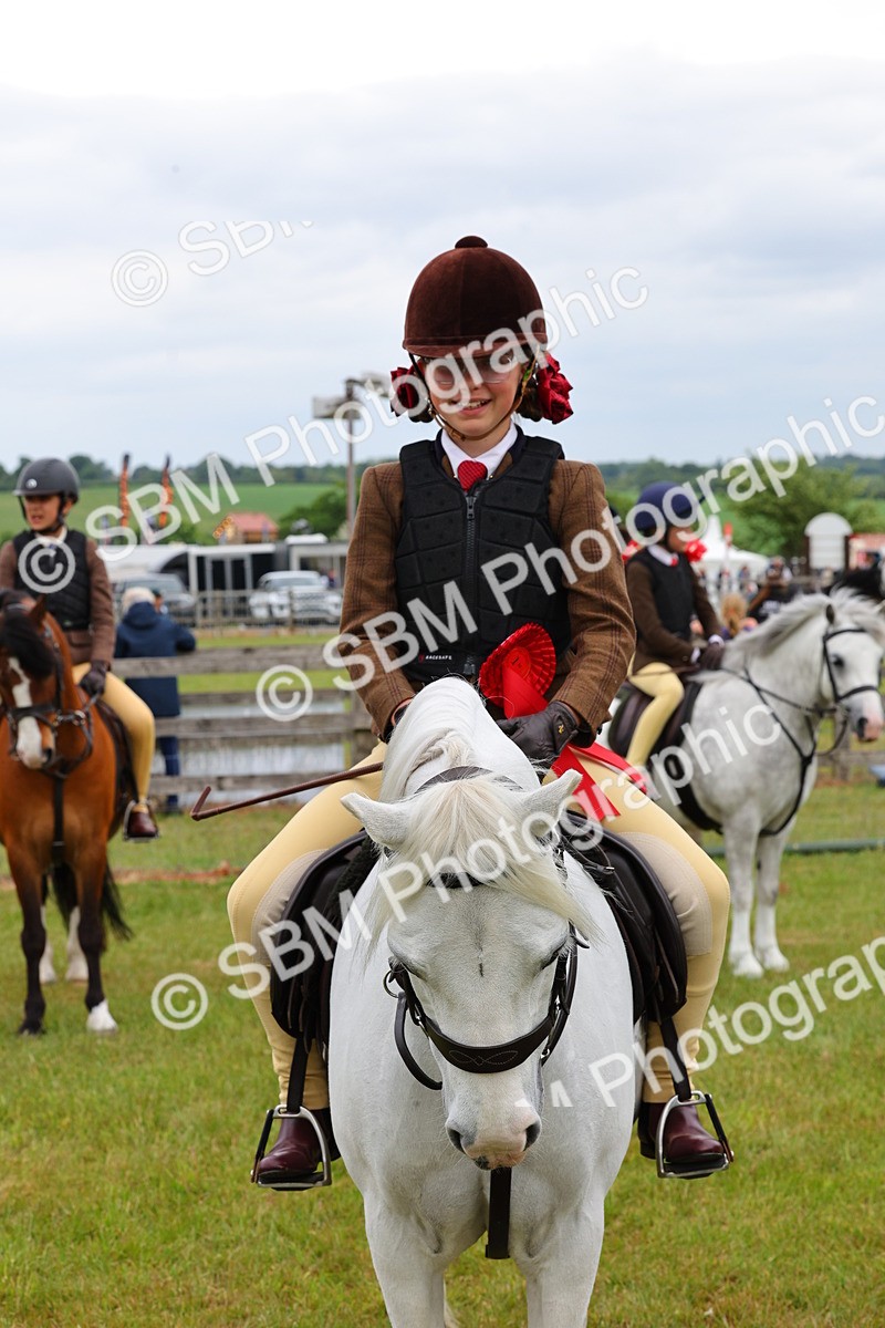 SBM_08831 - Class 42-43 - LIHS BSPS Heritage Working Sports Pony