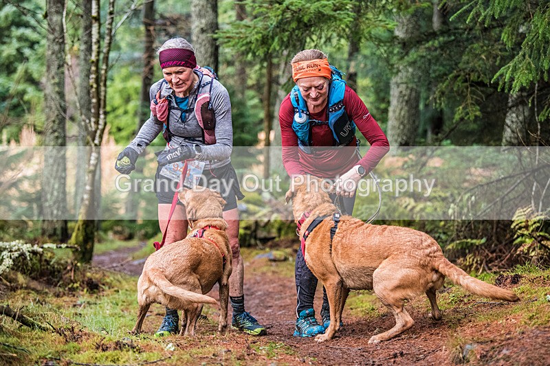 Glentress-2408 - High Terrain Events Glentress Winter Trail half Marathon & 10K Trail Run Saturday 19th November 2022