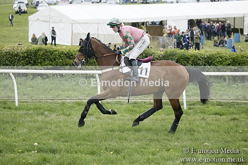 PtP 170417 497 - Old Berks Point-to-Point Lockinge 17/04/17
