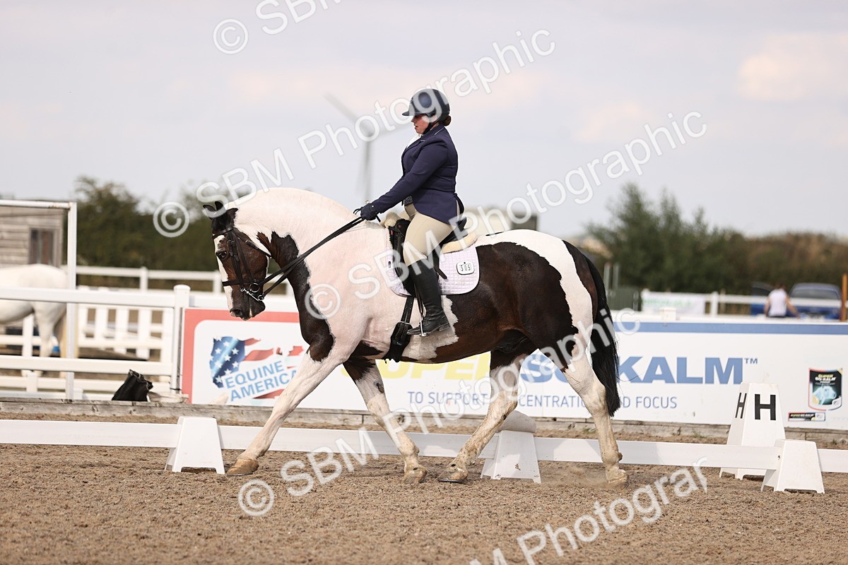 SBM_08115 - Class 39 Medium 3