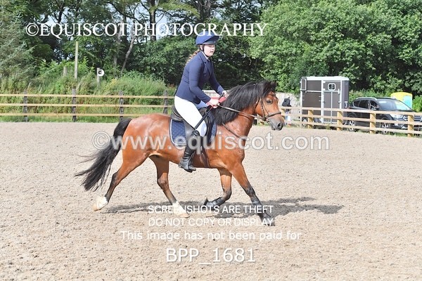 BPP_1681 - DERBY CLASS 4 - 50CM